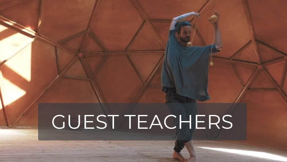 Guest Teachers