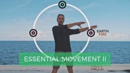 Essential Movement II