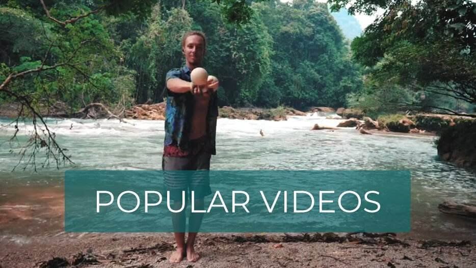Popular Videos